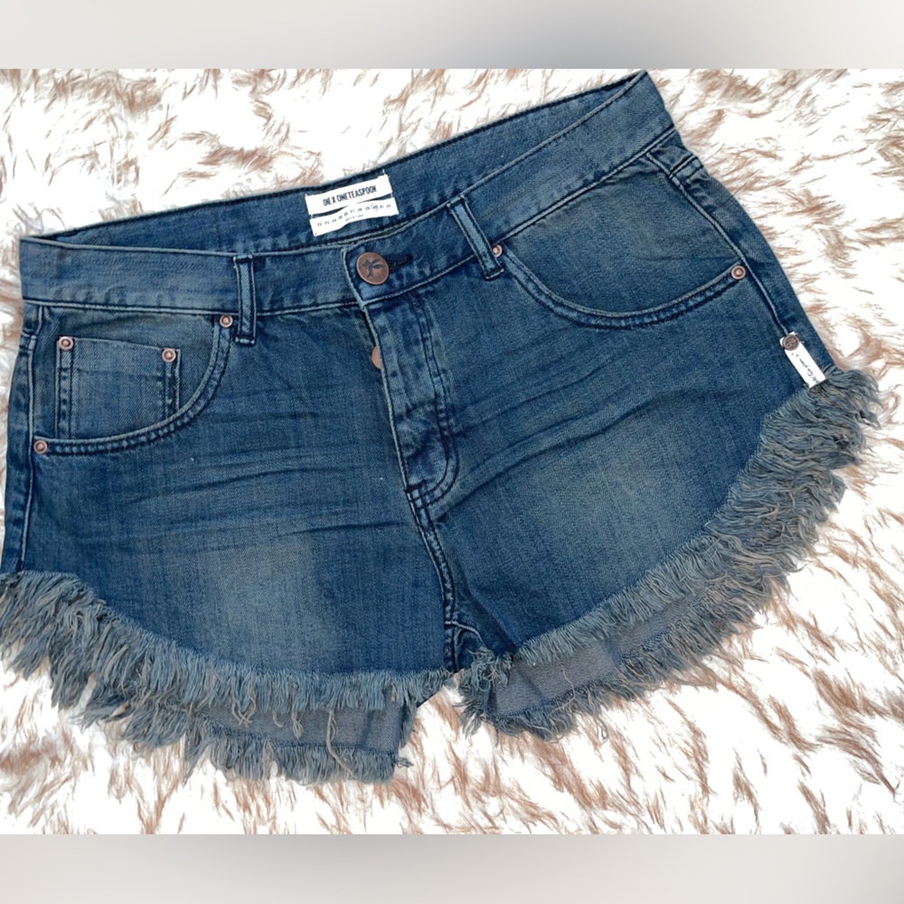 One X One Teaspoon. Brandos Shorts. Long Length.
